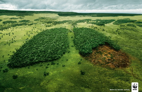 WWF - Please help save the forests! (2)